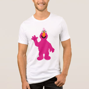 セサミストリートのテリーモンスター トライブレンドTシャツ