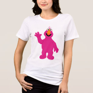 セサミストリートのテリーモンスター トライブレンドTシャツ