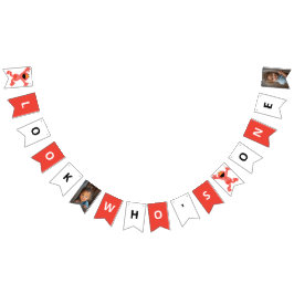 セサミストリートエルモ |クレヨン誕生日 バンティングフラッグ