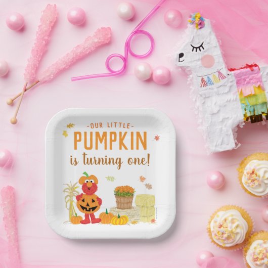 セサミストリートズエルモリトルカンプキンファースト誕生日 ペーパープレート (パーティー)