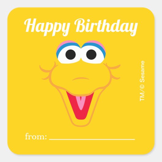 セサミストリートビッグ |ギフト開始日 – 誕生日 スクエアシール (正面)
