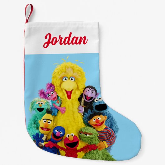セサミストリート |おもしろいカラフルポートレート スモールクリスマスストッキング (正面)