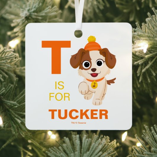 セサミストリート | ウィンタータンゴ メタルオーナメント (インサイチュ)