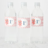 セサミストリート |エルモ – ピンク誕生日ボトルラベル ペットボトルラベル (ボトル)