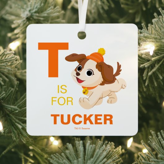 セサミストリート |クリスマスタンゴ メタルオーナメント (インサイチュ)