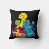 セサミストリート |セサミフレンド クッション (裏面)