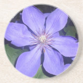 セサリン コースター (正面)