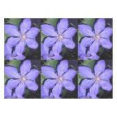 セサリン テーブルクロス (正面(横))