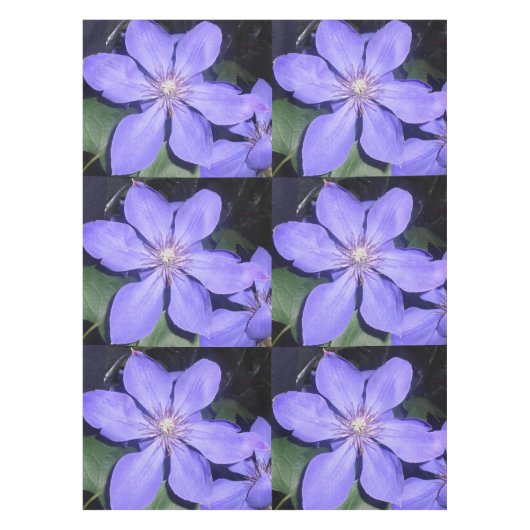 セサリン テーブルクロス (正面)