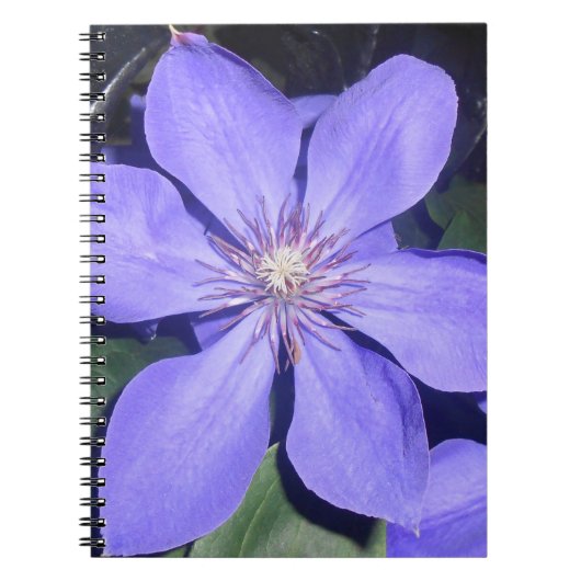 セサリン ノートブック (正面)