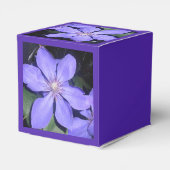 セサリン フェイバーボックス (裏面サイド)