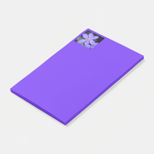 セサリン ポストイット (アングル)