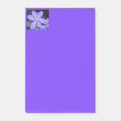 セサリン ポストイット (正面)