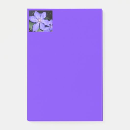 セサリン ポストイット (正面)