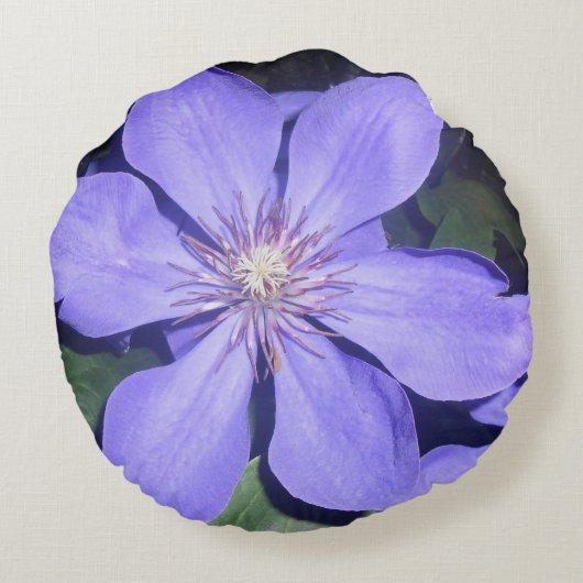 セサリン ラウンドクッション (裏面)