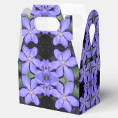 セザリーヌ フェイバーボックス (オープン)