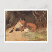 セシルアルダンのポストカード ポストカード (正面)