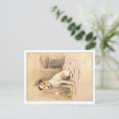 セシルアルダンのポストカード ポストカード (スタンド正面)