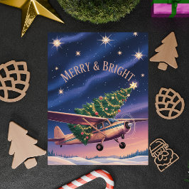 セスナ機がクリスマスツリーを運ぶ 写真 ユーモア ポストカード