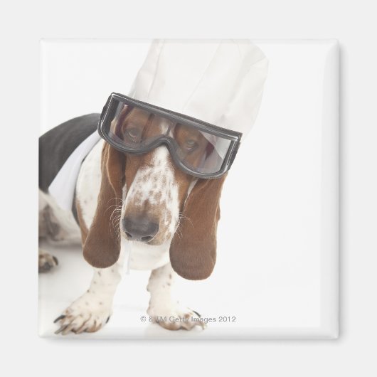 セセセリアエルハート マグネット (正面)