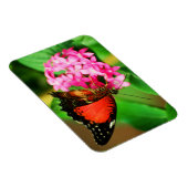 セソシアビブリスプレミアム磁石 マグネット (右側)