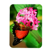 セソシアビブリスプレミアム磁石 マグネット (縦)