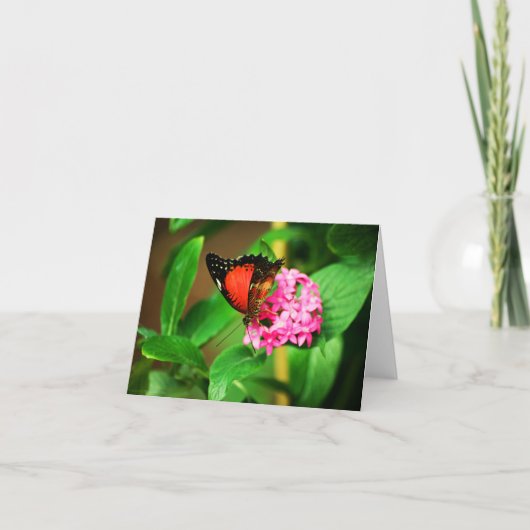 セソシア・ビブリスカード カード (正面)