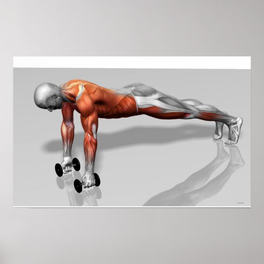 セタンタプッシュアップ4 ポスター (正面)