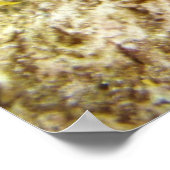 セダゴン ポスター (角)