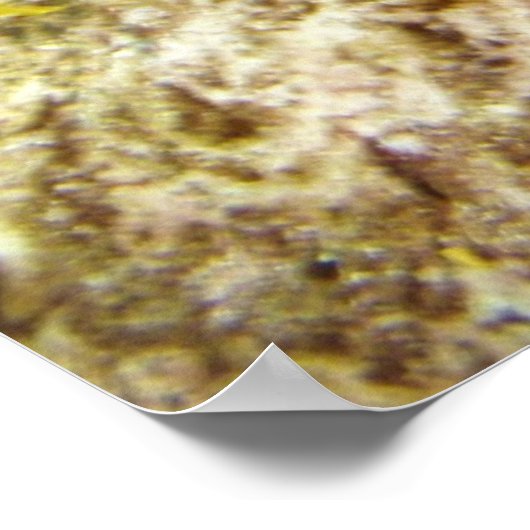 セダゴン ポスター (角)