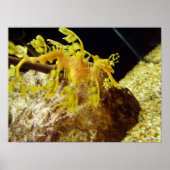 セダゴン ポスター (正面)