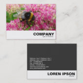 セダムのまわりに 名刺 (正面/裏面)