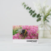 セダムのまわりに 名刺 (スタンド正面)