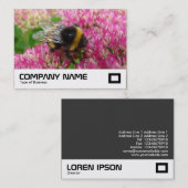 セダムのまわりに 名刺 (正面/裏面)