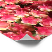 セダムのコンマ蝶 ポスター (角)