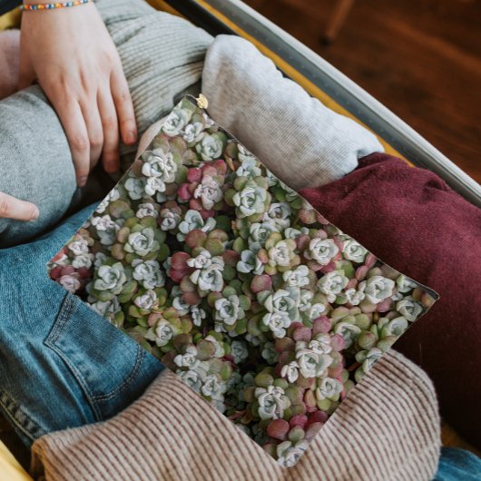 セダムスポツリフォリウムストネクロップフローラ アクセサリーポーチ