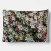 セダムスポツリフォリウムストネクロップフローラ アクセサリーポーチ (正面)