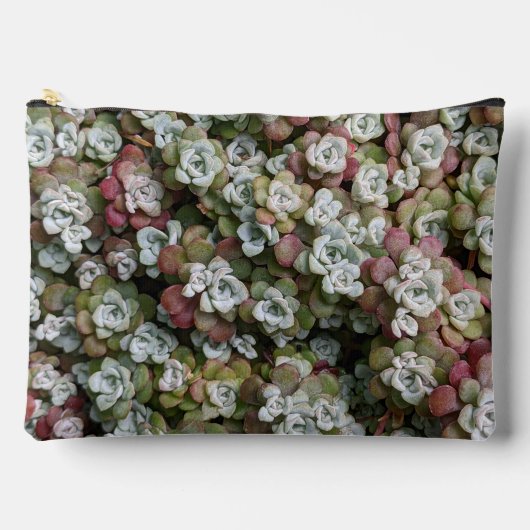 セダムスポツリフォリウムストネクロップフローラ アクセサリーポーチ (正面)
