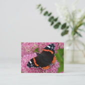 セダム提督(秋の喜び) 名刺 (スタンド正面)