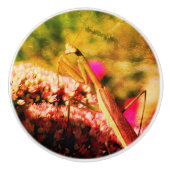 セダム祈フラワー抽象芸術上のマンティスオングランジ セラミックノブ (正面)