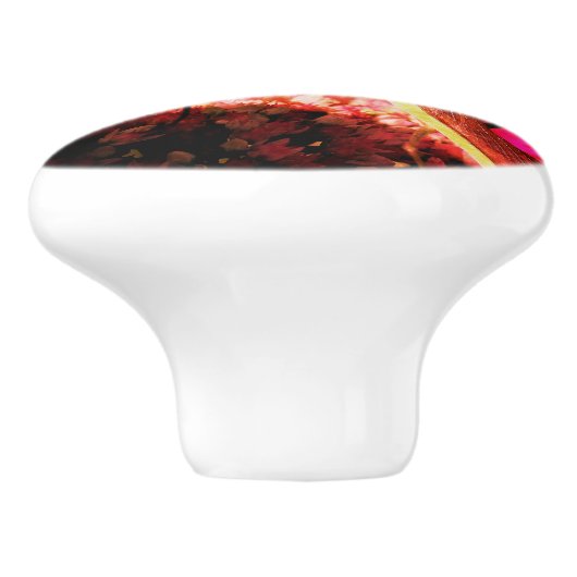 セダム祈フラワー抽象芸術上のマンティスオングランジ セラミックノブ (側面)