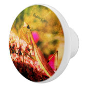 セダム祈フラワー抽象芸術上のマンティスオングランジ セラミックノブ (右)