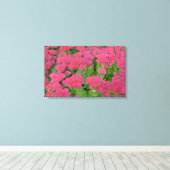 セダム秋の喜び キャンバスプリント (インサイチュ (ウッドフロア))