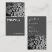 セダム秋の喜び(B&W) - 70pcグレー 名刺 (正面/裏面)