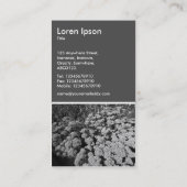 セダム秋の喜び(B&W) - 70pcグレー 名刺 (裏面)