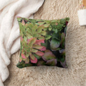 セダム、アジュガ、アイリスとオダマキ（植物） クッション (ブランケット)