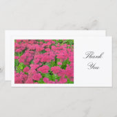 セダム（秋の喜び） – ありがとう サンキューカード (正面/裏面)