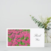 セダム（秋の喜び） – ありがとう サンキューカード (スタンド正面)