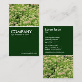 セダム(秋の喜び) – ダークグリーン 名刺 (正面/裏面)