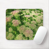 セダム「秋の喜び」 マウスパッド (マウス)